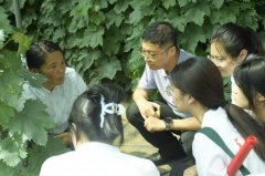 <strong>东青大种苗无限公司的“砧木—品种精准</strong>